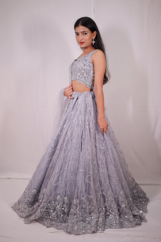 Net Lehenga For Women